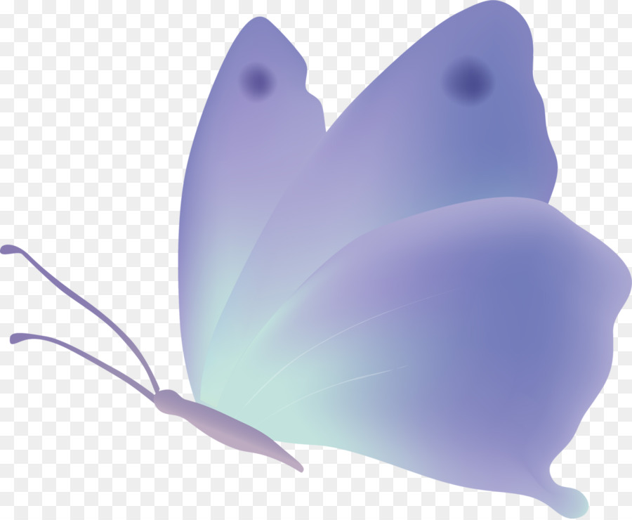 Papillons Violets，Nature PNG