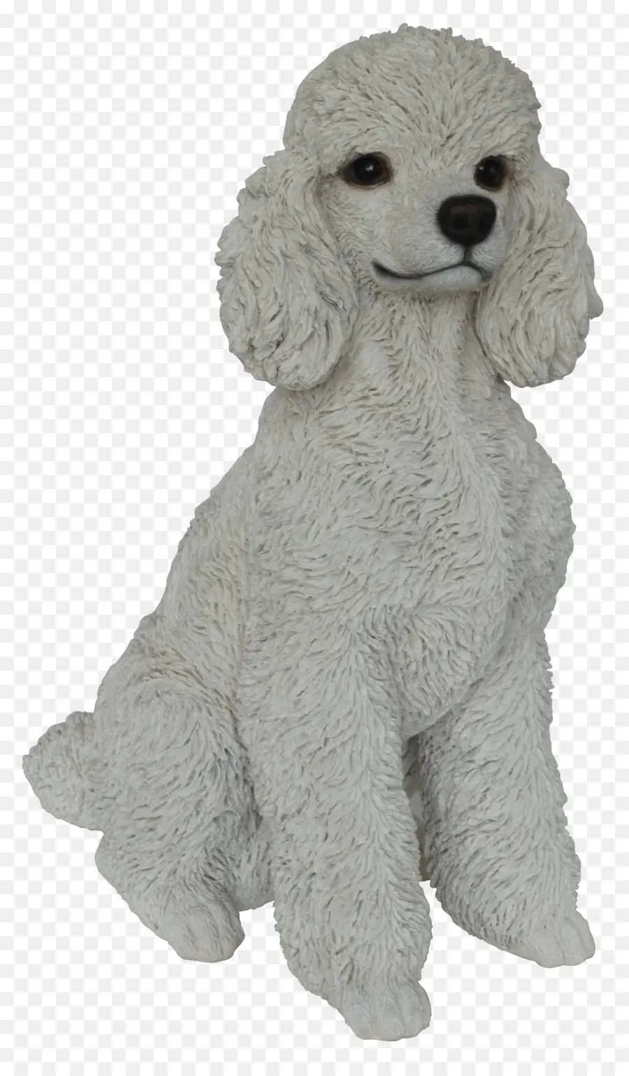 Caniche Blanc，Chien PNG