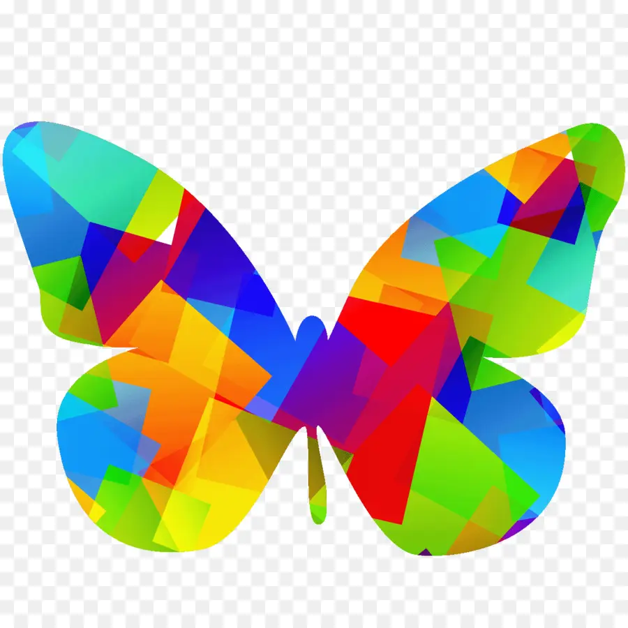 Papillon，Coloré PNG