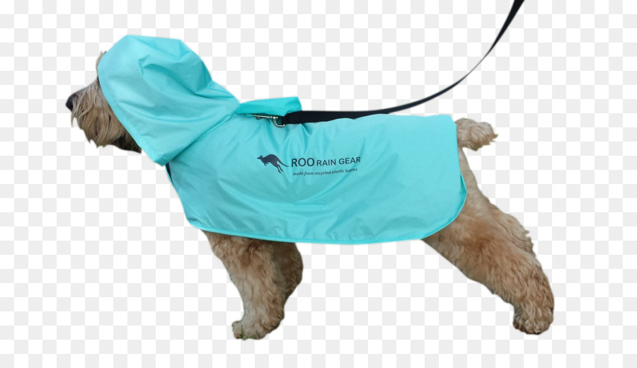 Chien En Imperméable，Imperméable PNG