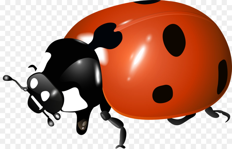 Coccinelle，Bogue PNG