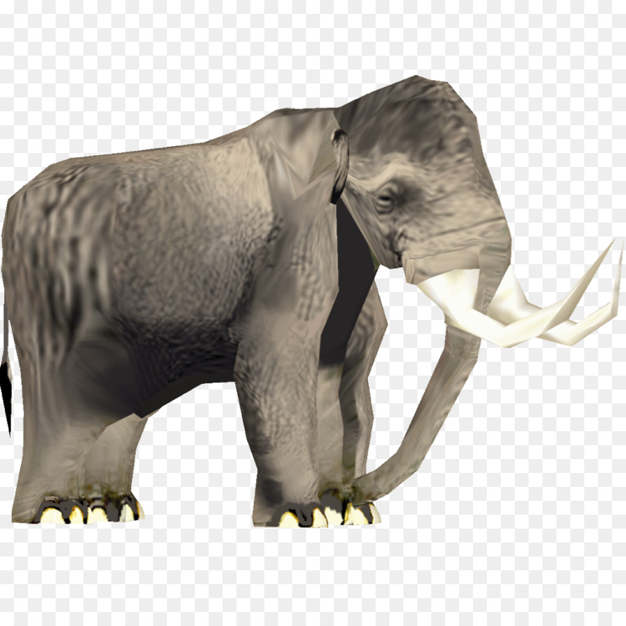 L éléphant D Afrique，L éléphant PNG