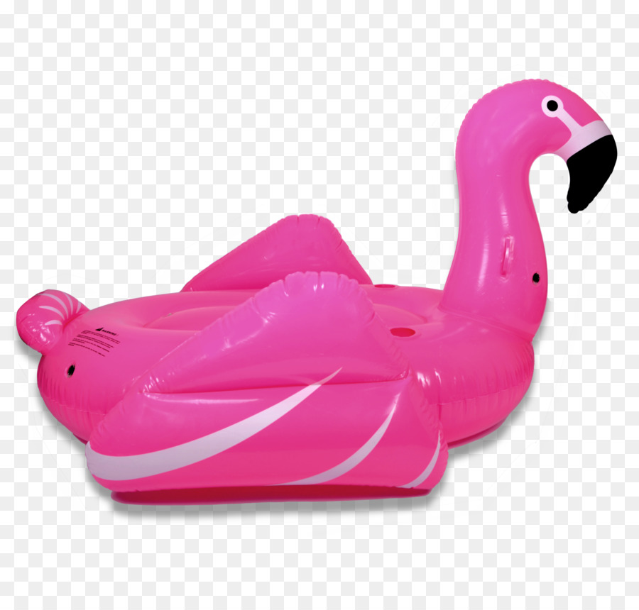 Piscine，Flamingo PNG