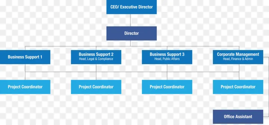 Organigramme，Structure De L'entreprise PNG