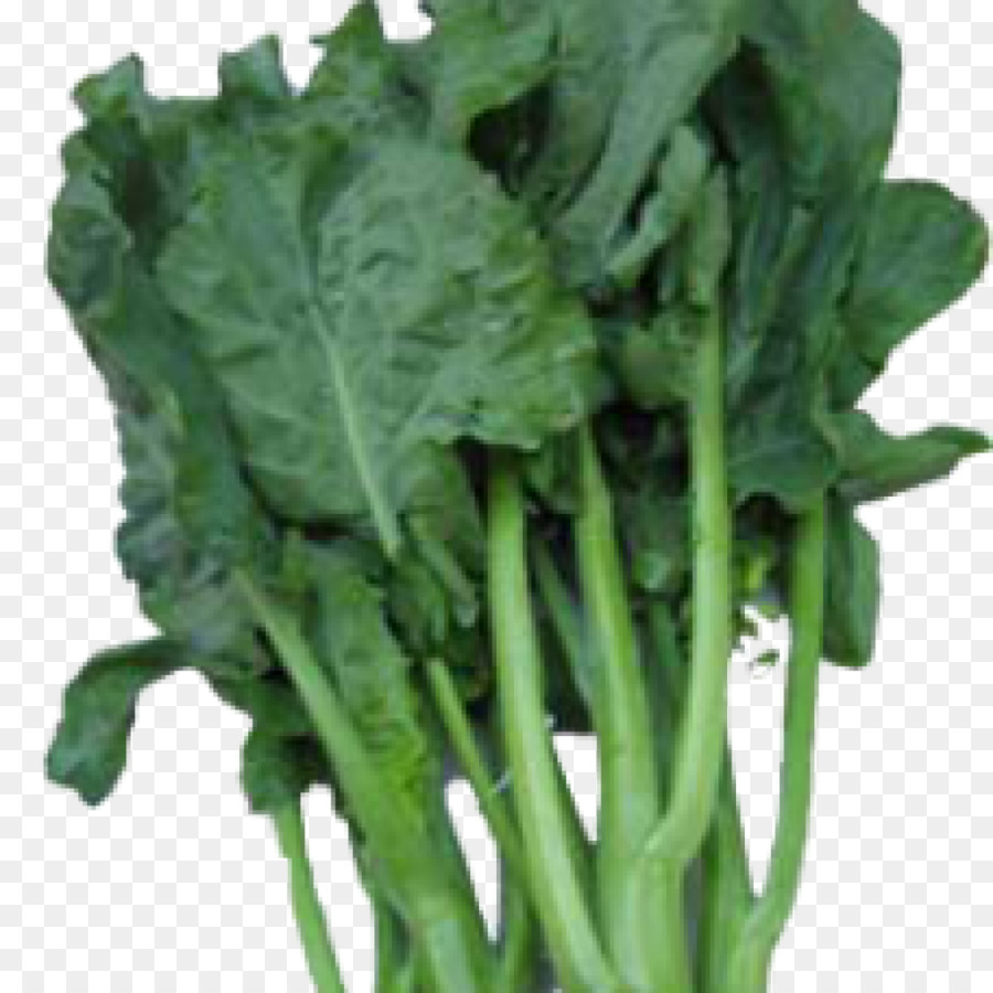 La Cuisine Chinoise，Brocoli Chinois PNG