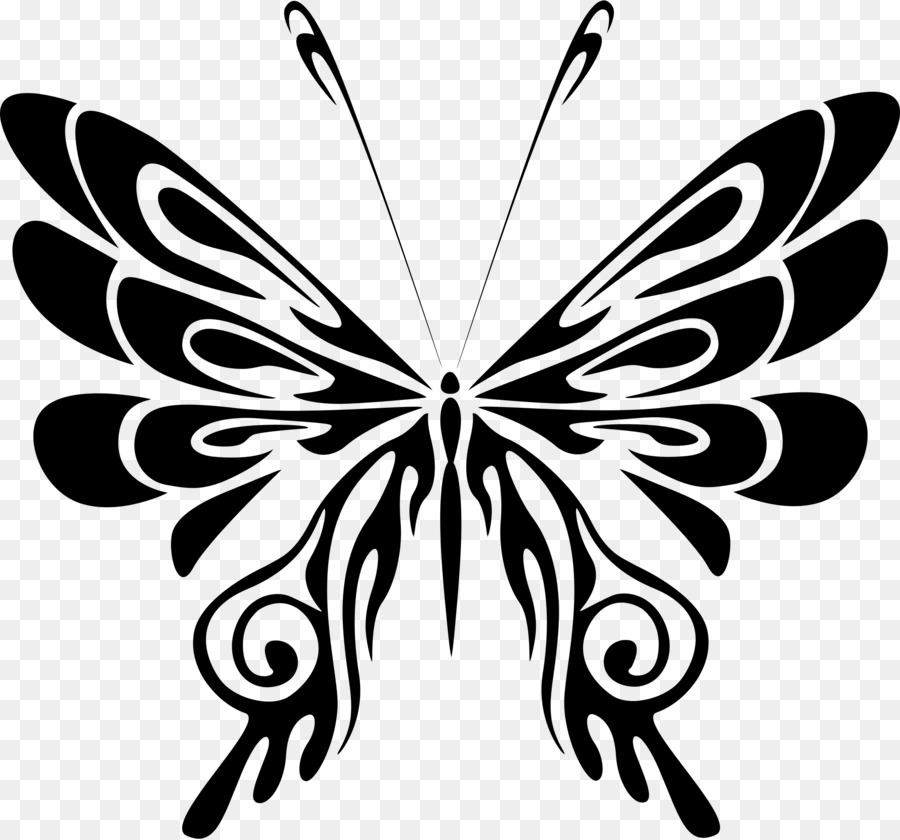 Papillon Noir，Insecte PNG