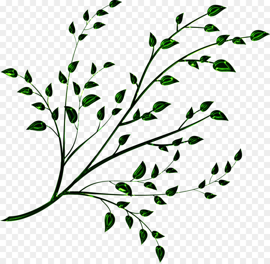 Plante Abstraite，Feuilles PNG