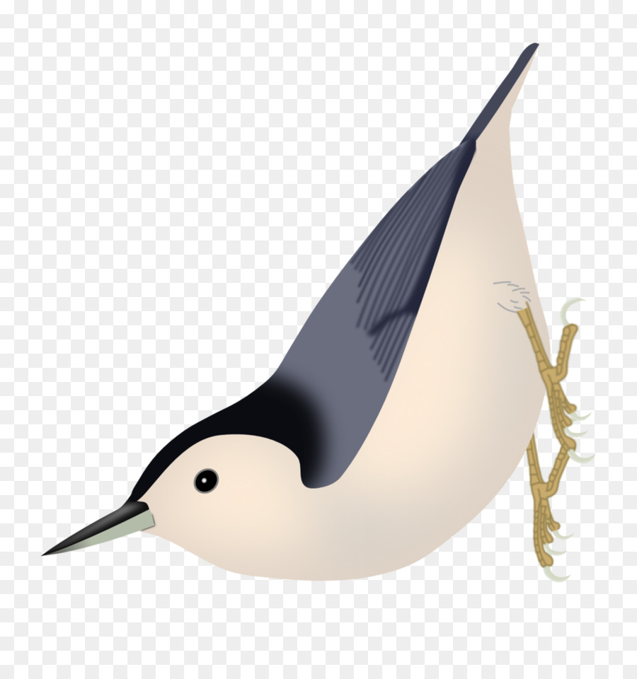 Oiseau，Passine PNG