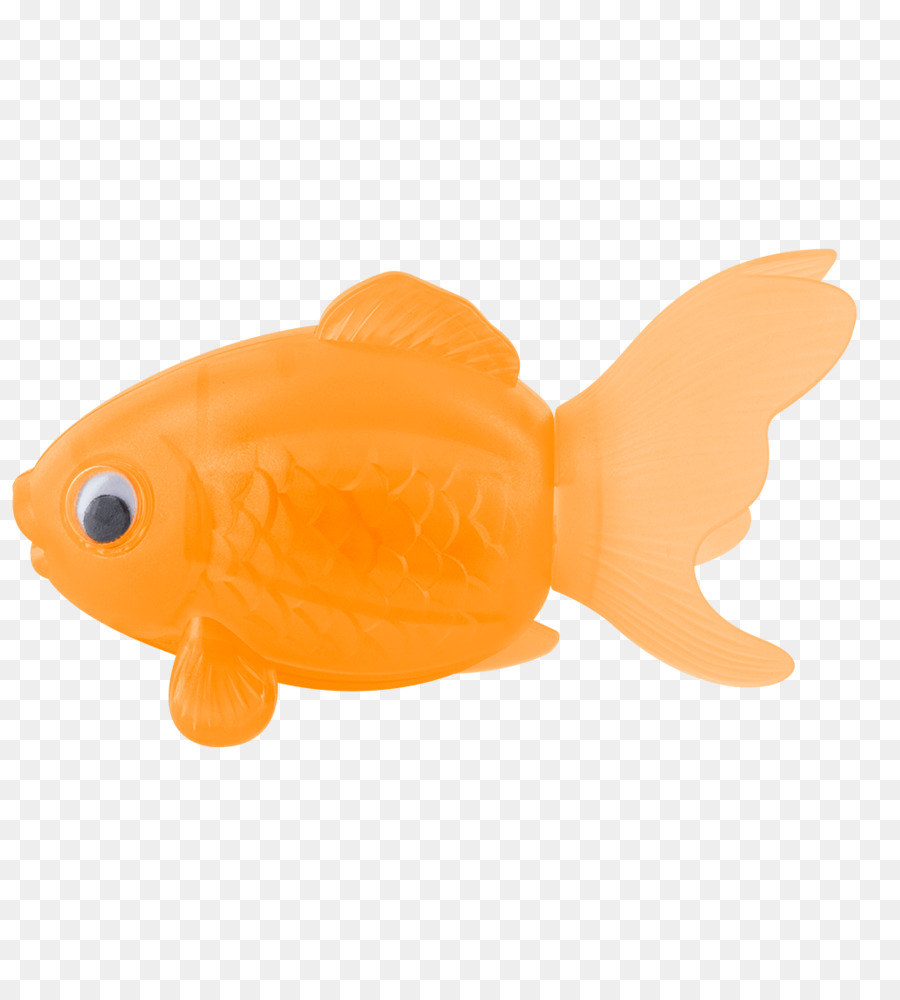 Poisson Clown，Poisson PNG