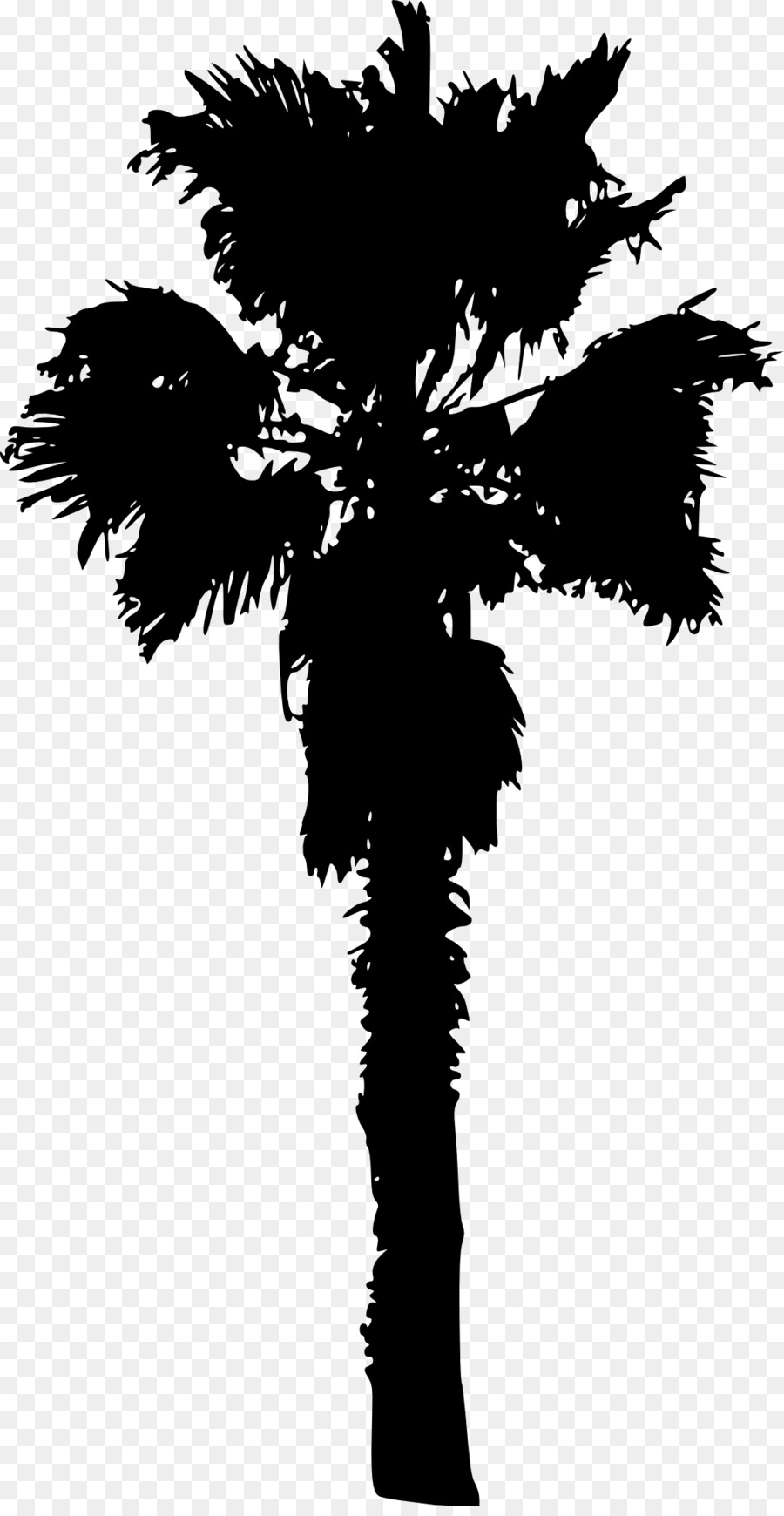 Silhouette De Palmier，Tropical PNG