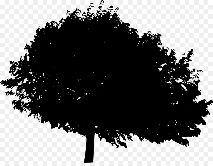 Silhouette D'arbre，Feuilles PNG