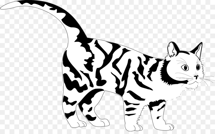 Tigre Chat Livre De Coloriage Png Tigre Chat Livre De Coloriage Transparentes Png Gratuit