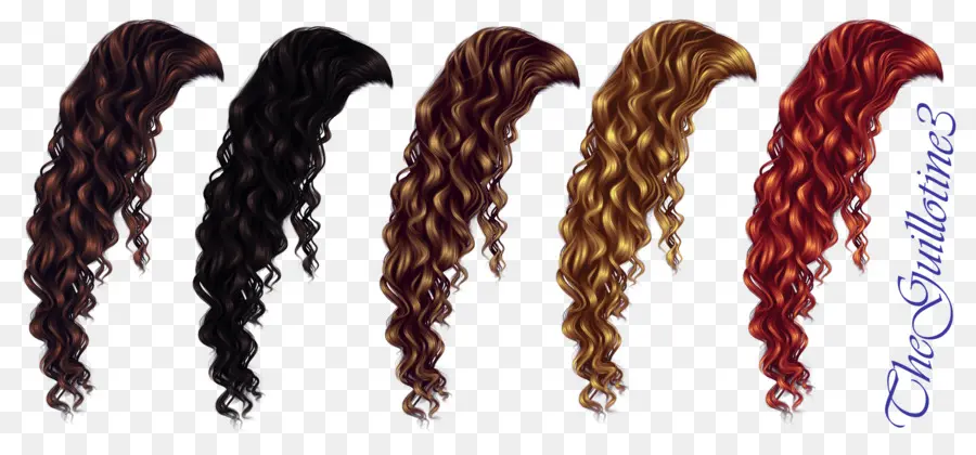 Les Cheveux Bruns，Cheveux PNG