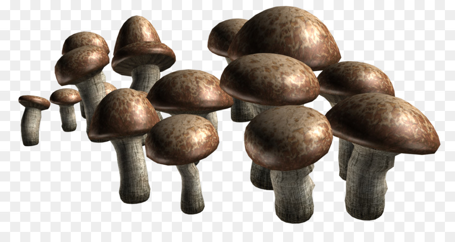 Champignons，Grappe PNG