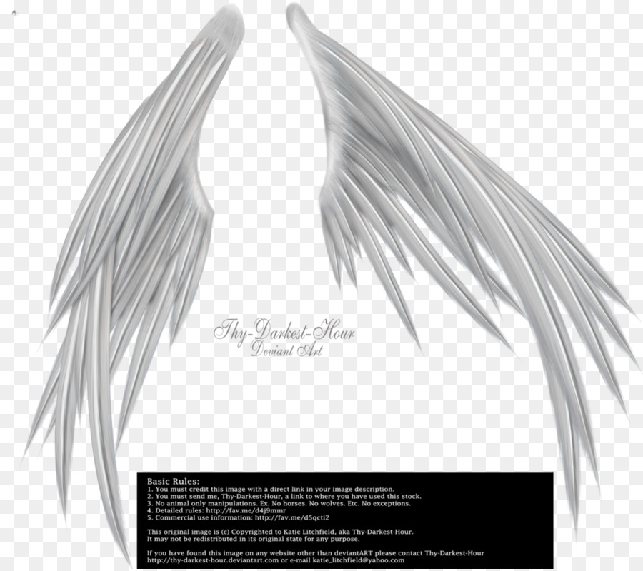 Ailes D'ange，Plumes PNG