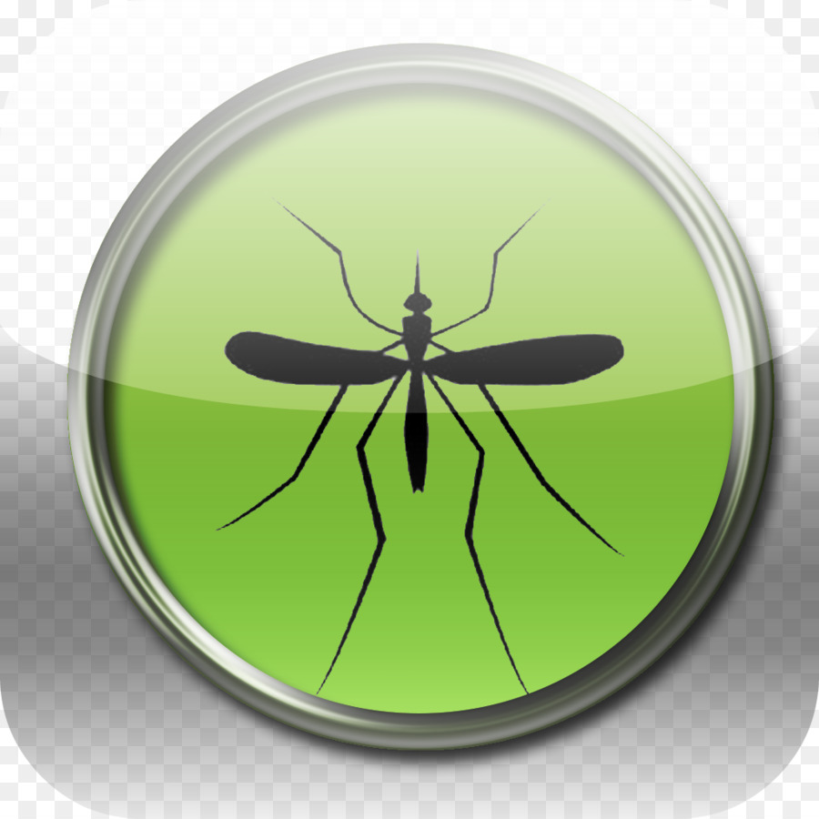 Les Insectes，Moustique PNG