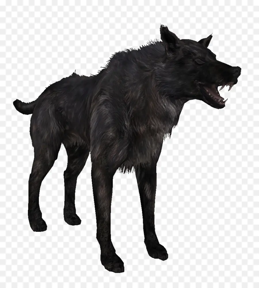 Chien，Noir PNG