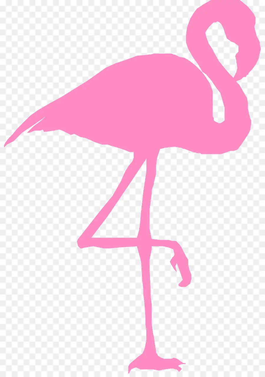 Flamant Rose，Jambes PNG