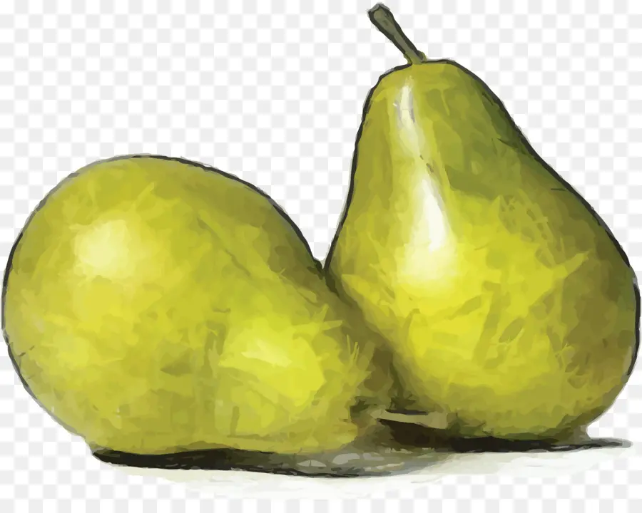 Poire，Fruits PNG