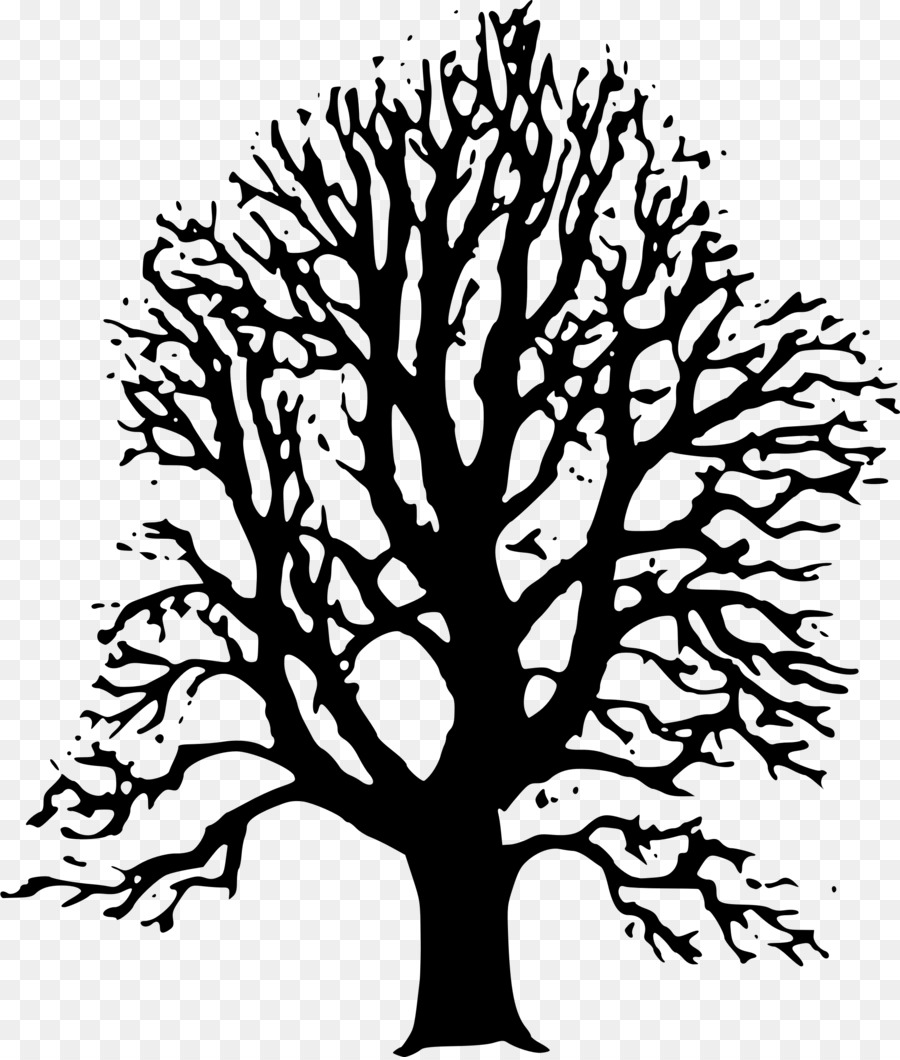 Silhouette D'arbre，Usine PNG