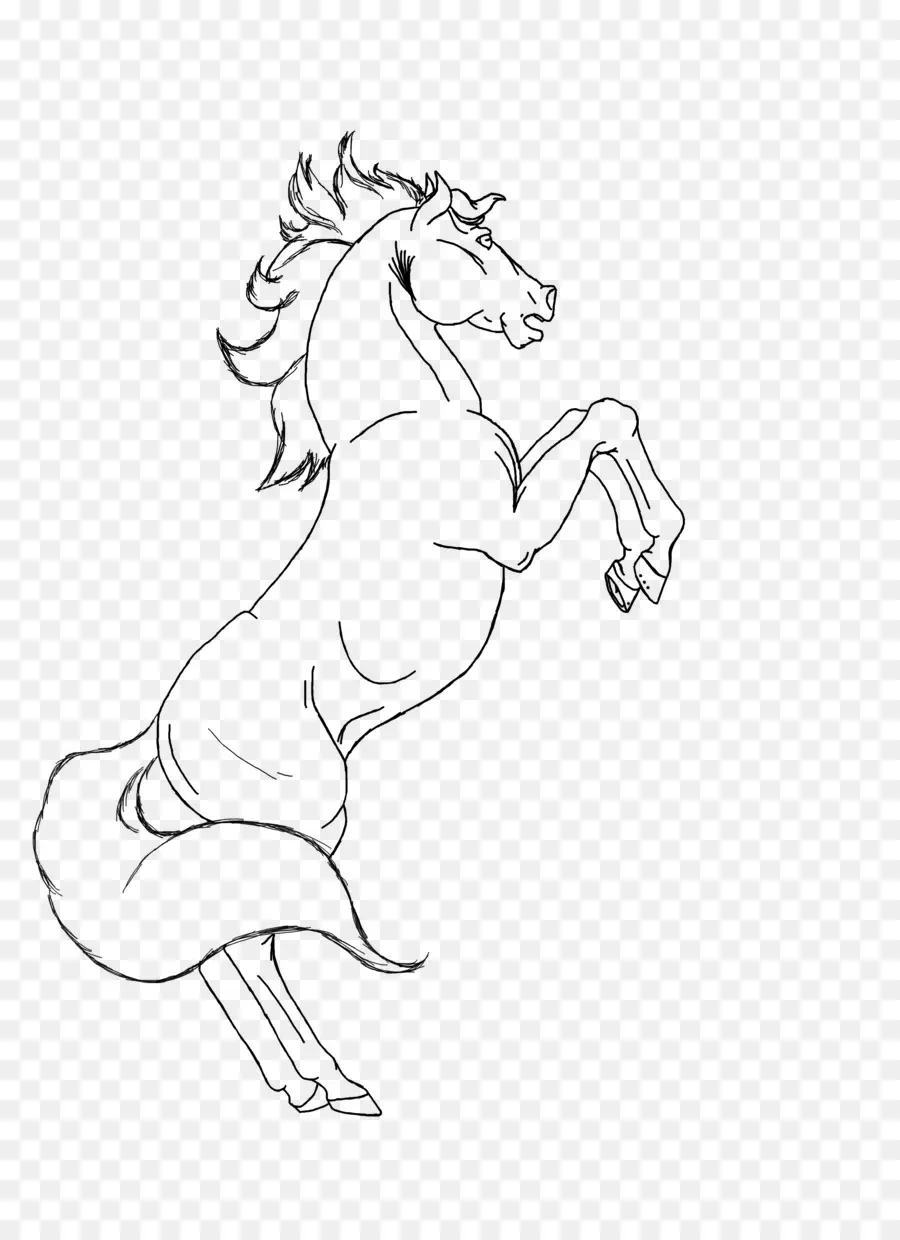 Croquis De Cheval，Animal PNG