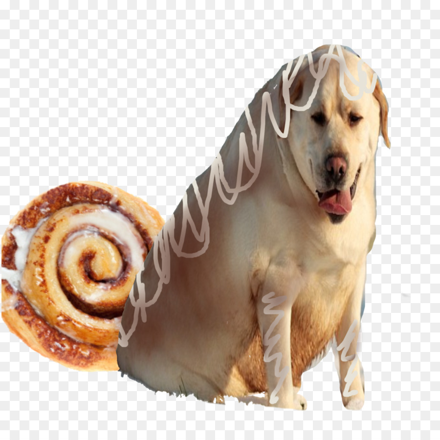 Chien Avec Brioche à La Cannelle，Brioche à La Cannelle PNG