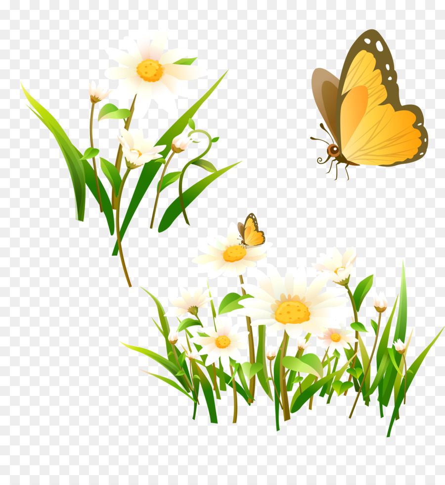 Lys Et Papillon，Fleur PNG