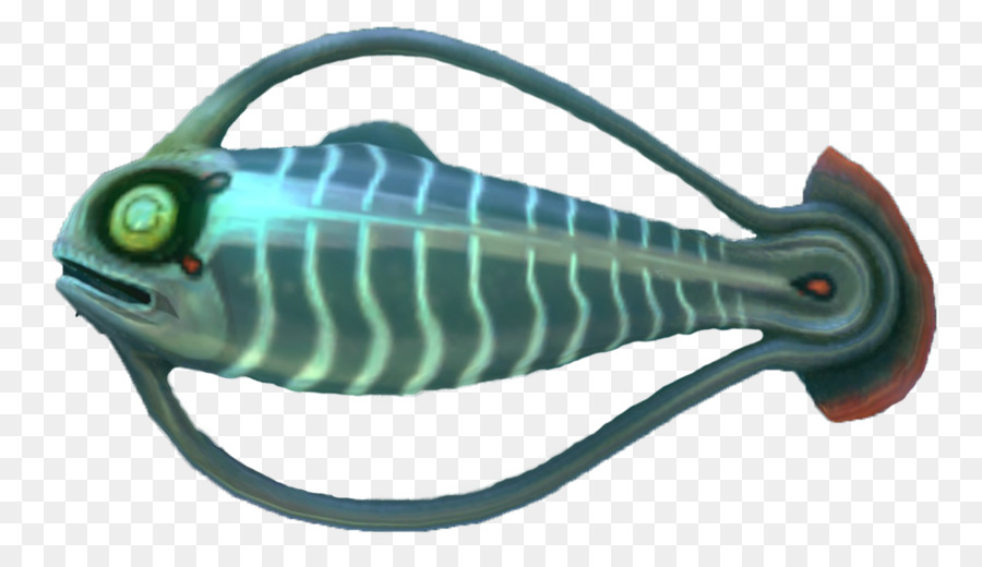 Poisson，Aquatique PNG