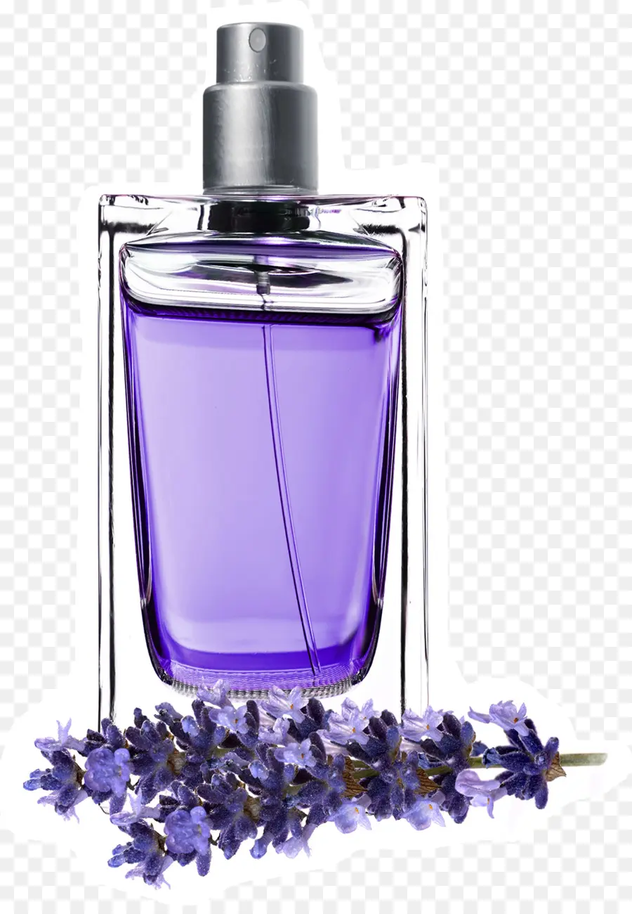 Flacon De Parfum Violet，Lavande PNG