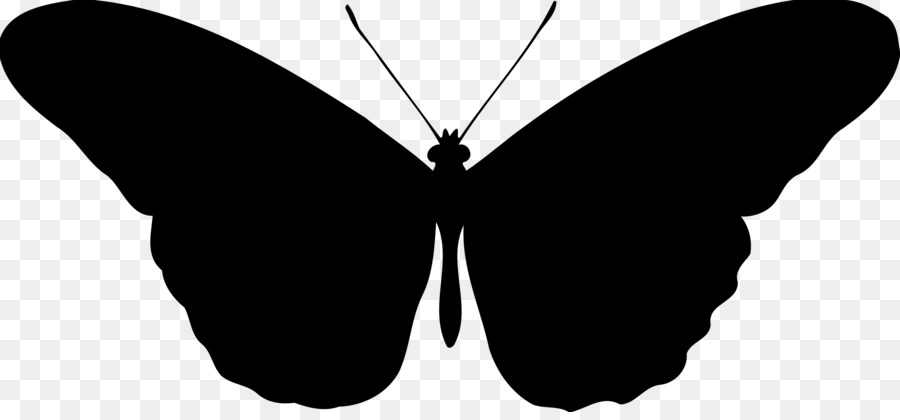 Silhouettes De Papillons，Insectes PNG