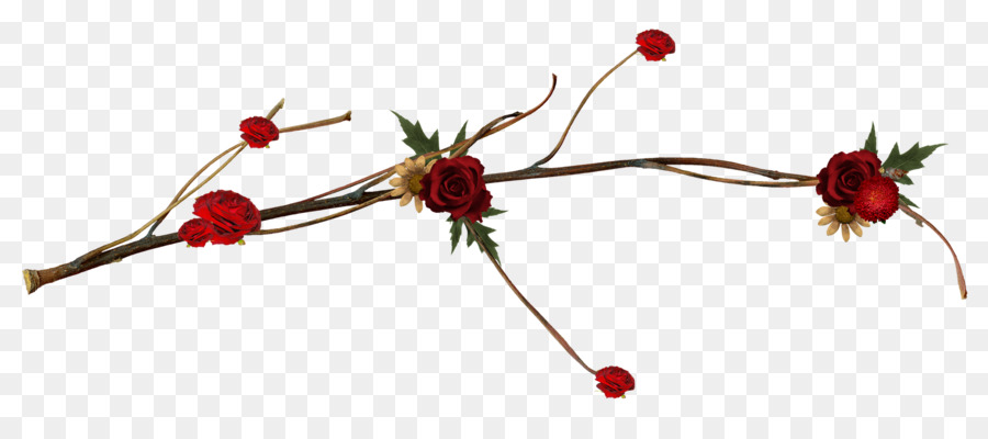 Fleur，Brindille PNG