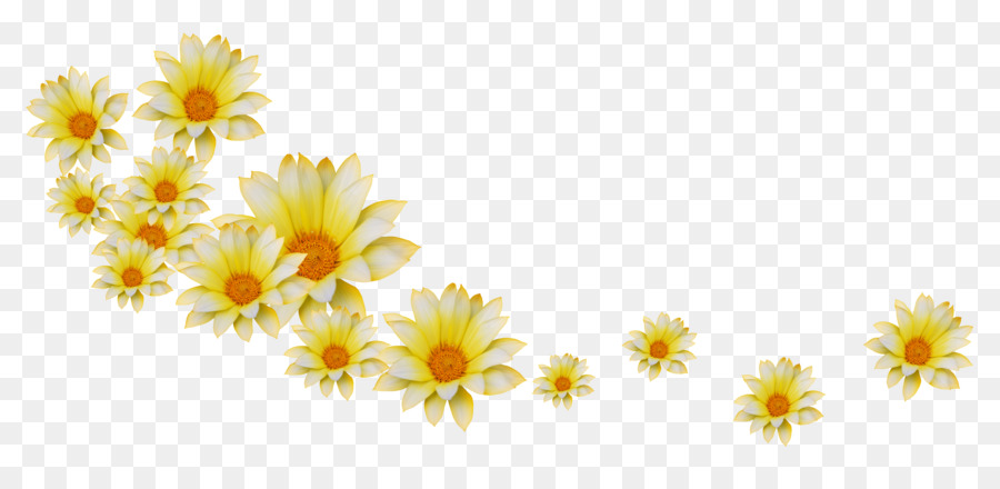 Marguerites，Blanc PNG