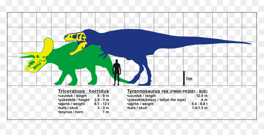 Le Tyrannosaure，Tricératops PNG