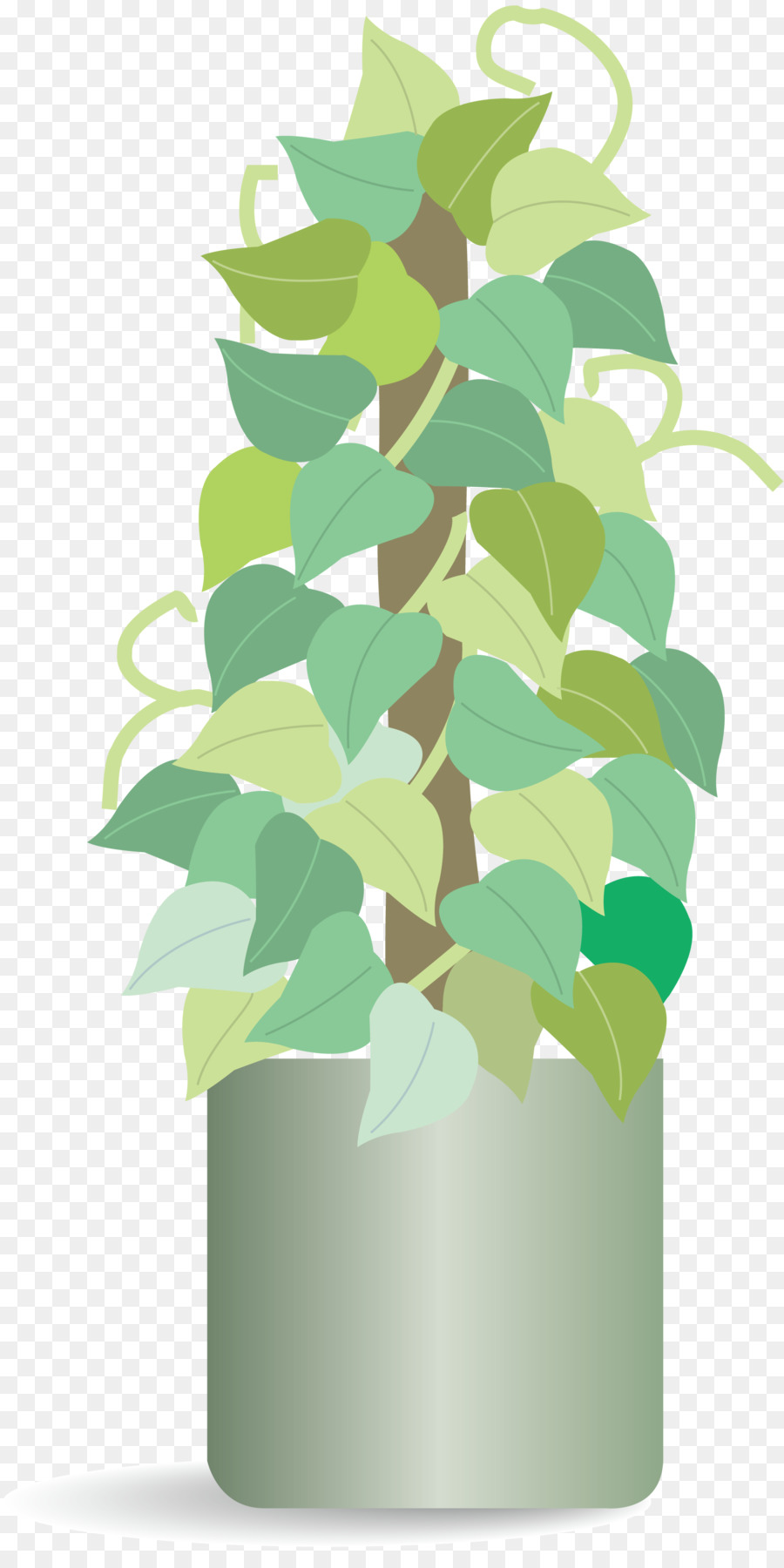 Plante En Pot，Vert PNG