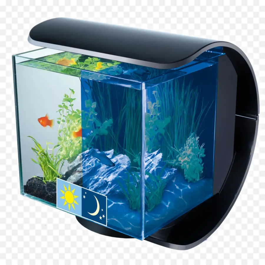 Aquarium，Poisson PNG