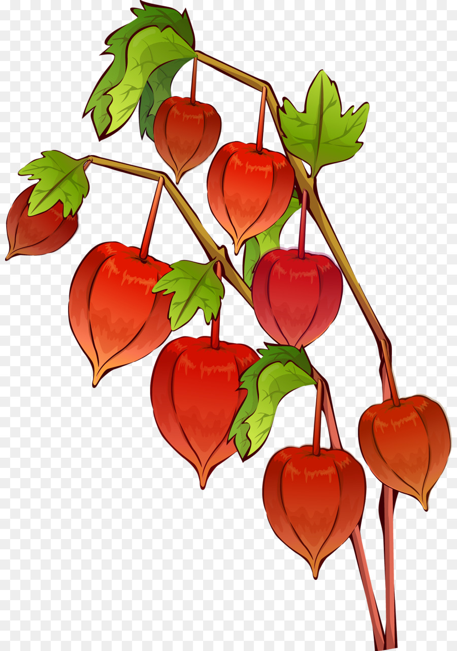 Fleur，Fleur De Cerisier PNG