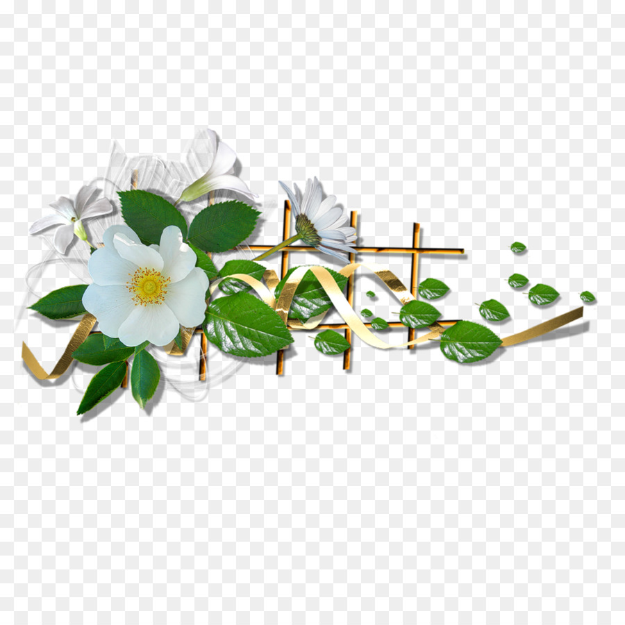 Arrangement De Fleurs Blanches，Feuilles PNG