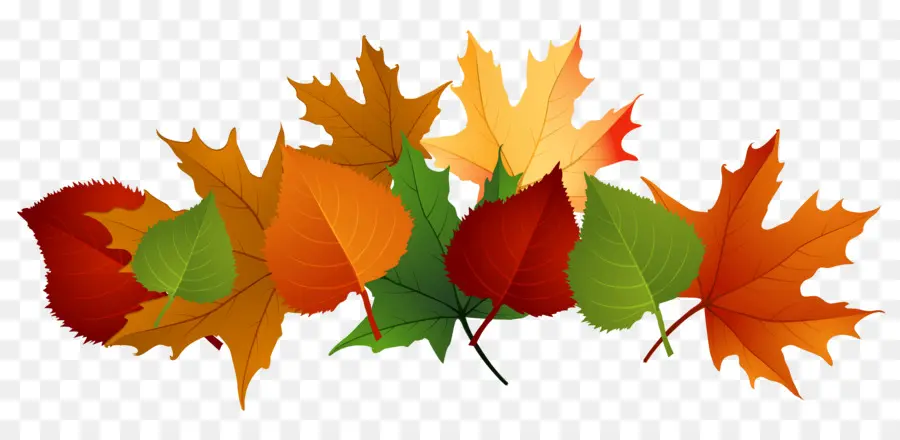 Feuilles D'automne，Automne PNG