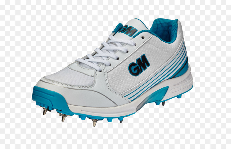 Centre De Cricket Meulemans，Chaussure PNG