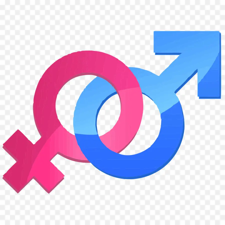 Le Genre Et Le Développement，L égalité Des Sexes PNG