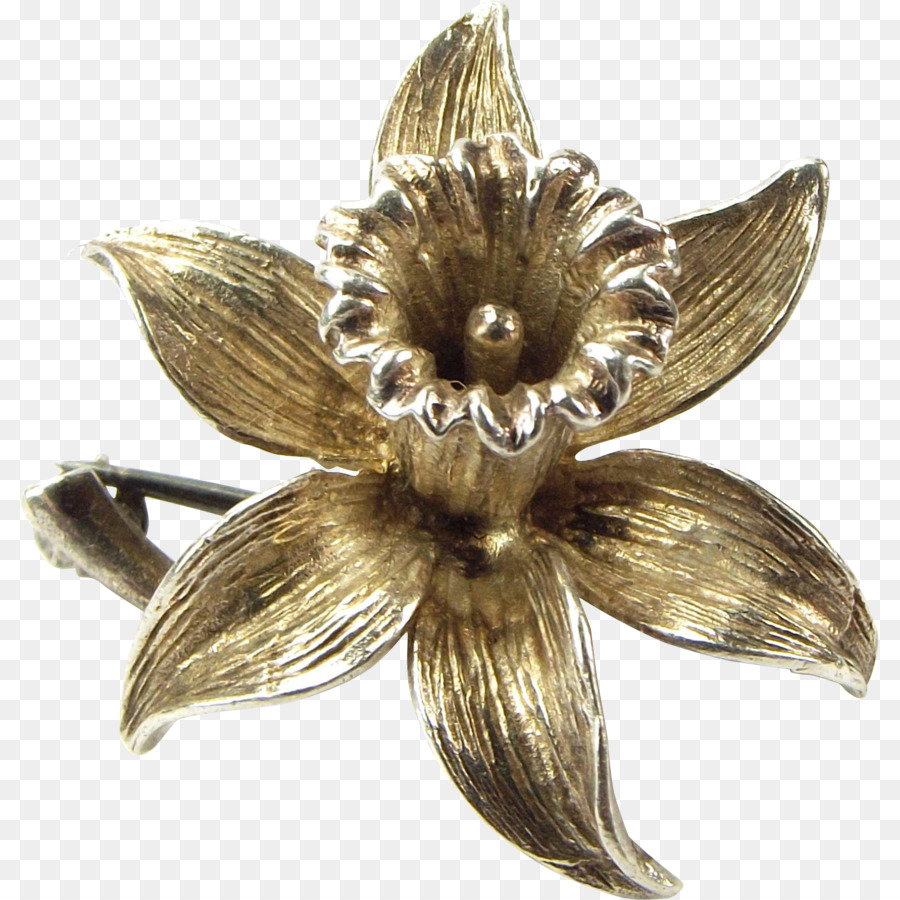 Broche，01504 PNG