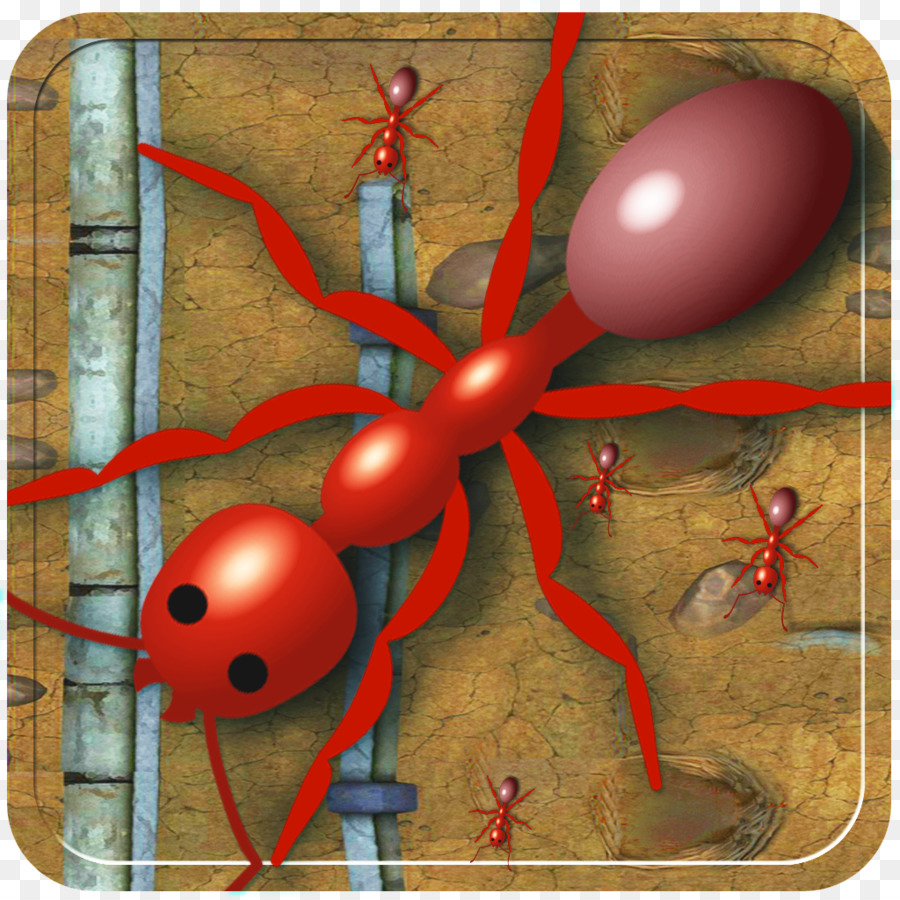 Les Insectes，Ipod Touch PNG