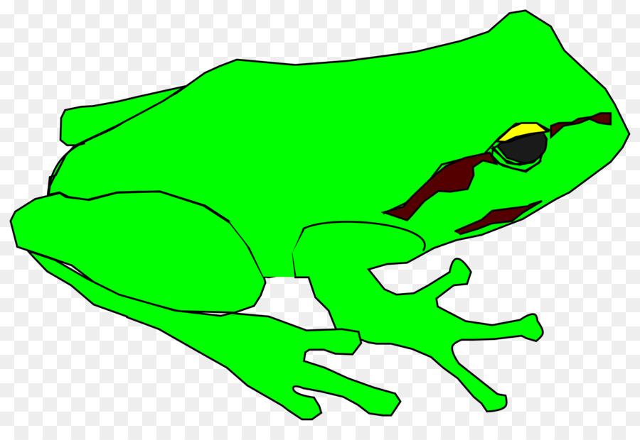 Grenouille，Dessin PNG