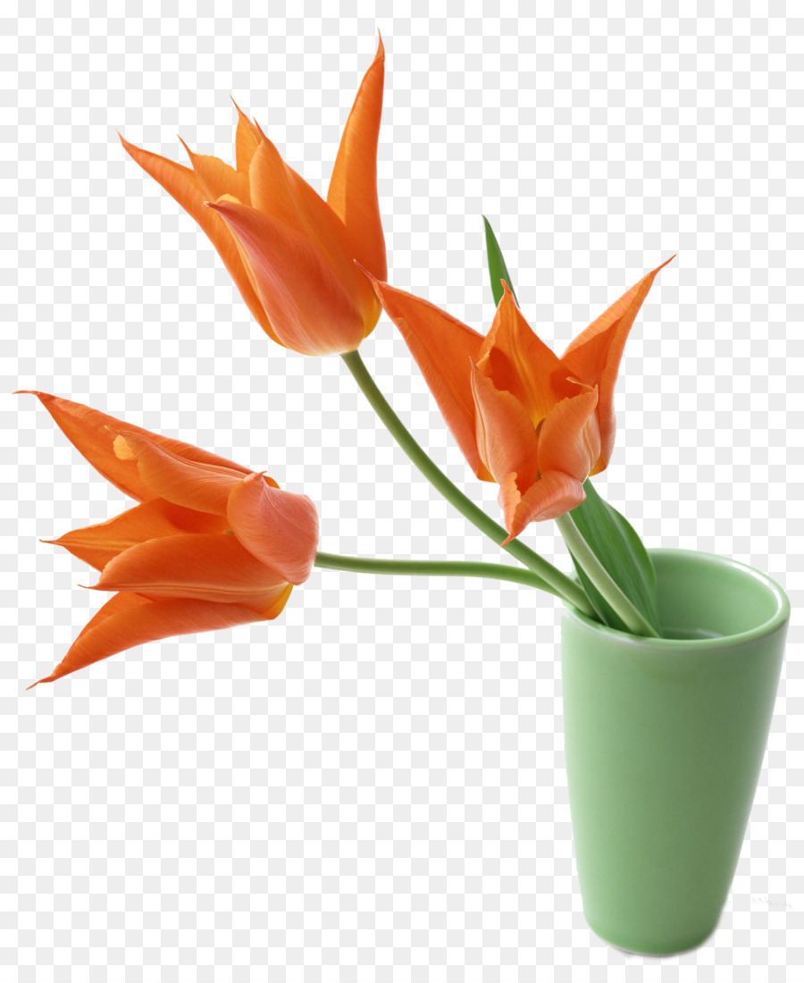 Fleurs，Vase PNG