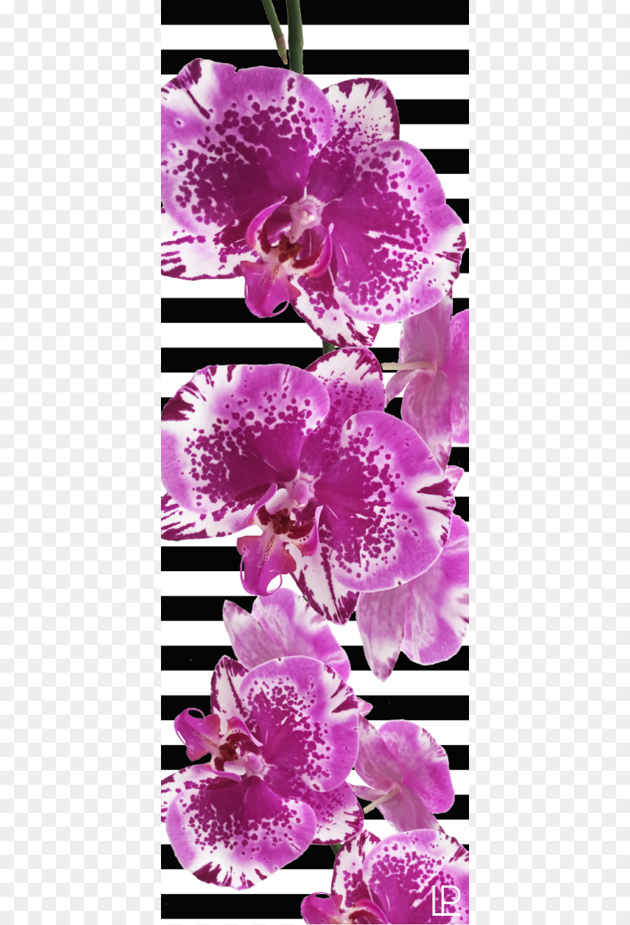 Lilas，Yoga Pilates Tapis PNG