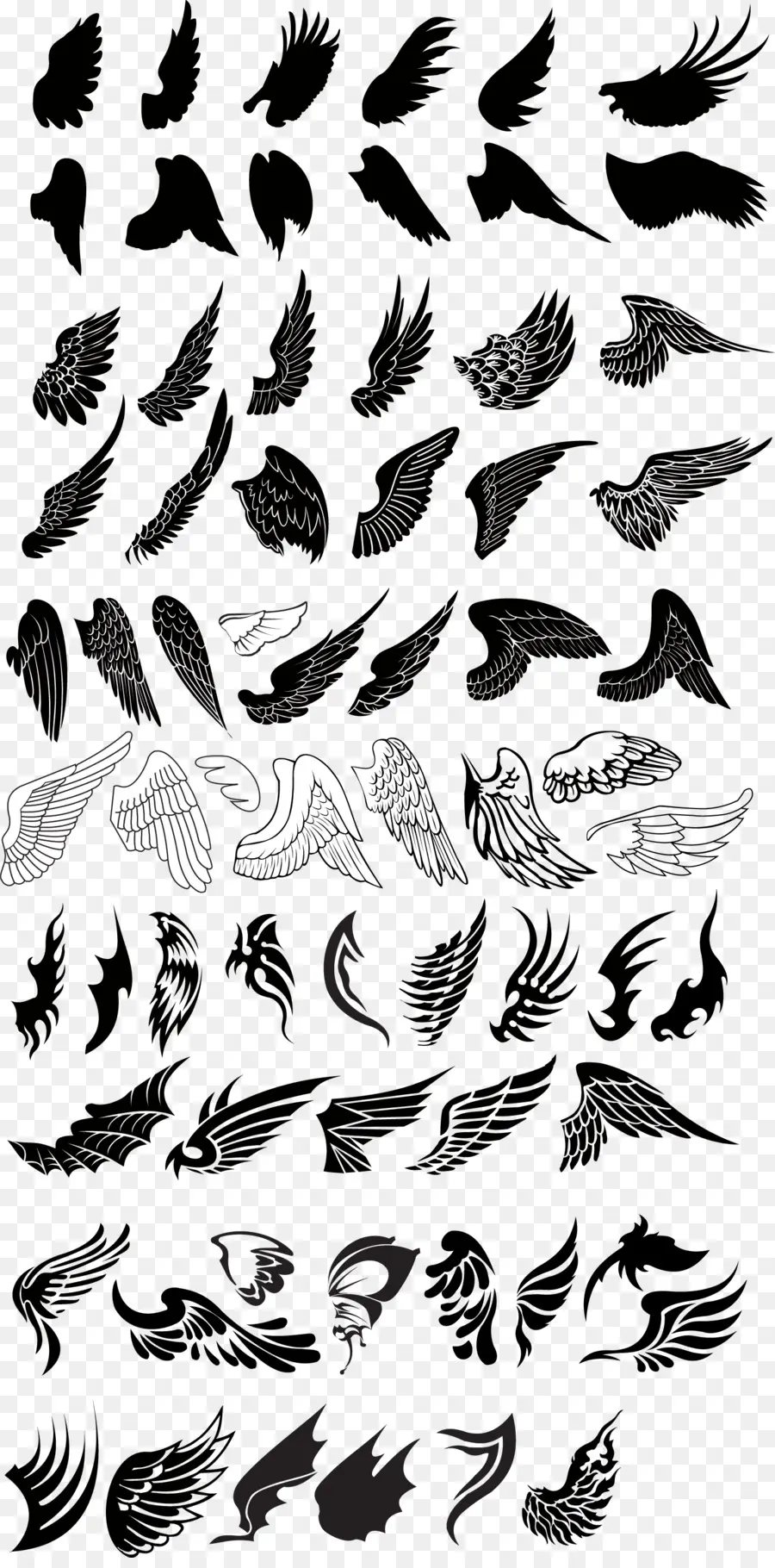 Ailes，Plumes PNG