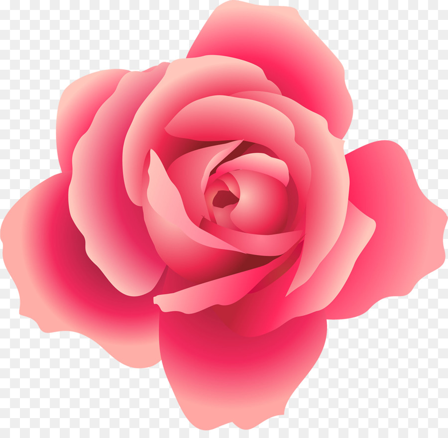 Rose Rouge，Fleurir PNG