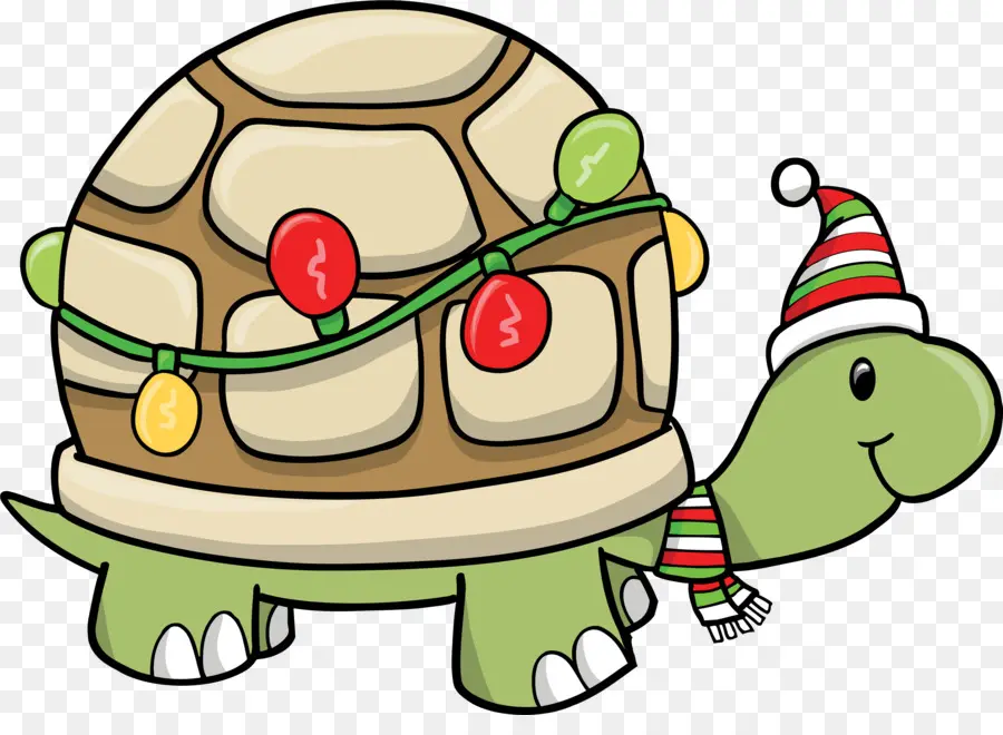 Tortue De Noël，Vacances PNG