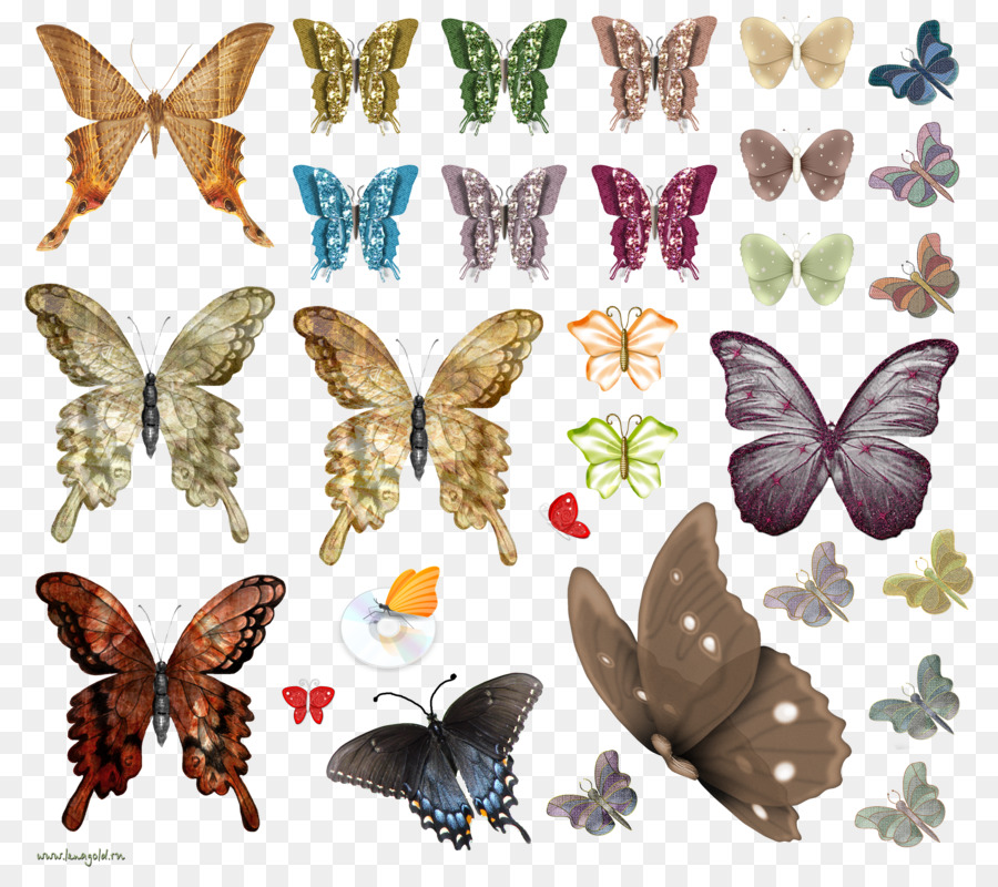 Papillon，Les Insectes PNG