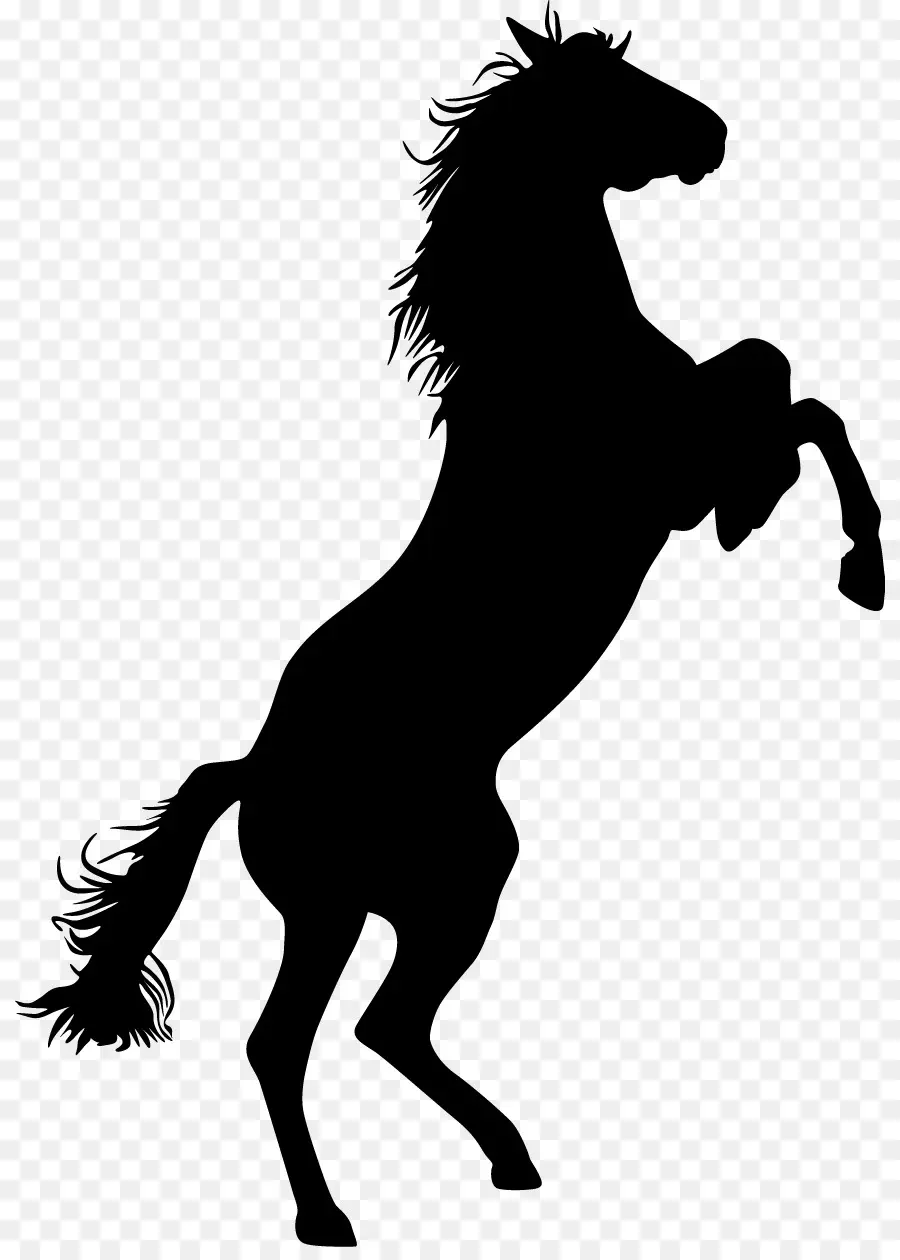 Cheval Noir，Silhouette PNG